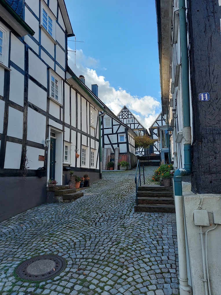 Freudenberg - 2022